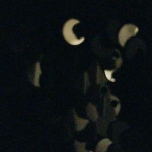 Meet your Posher, Yvette